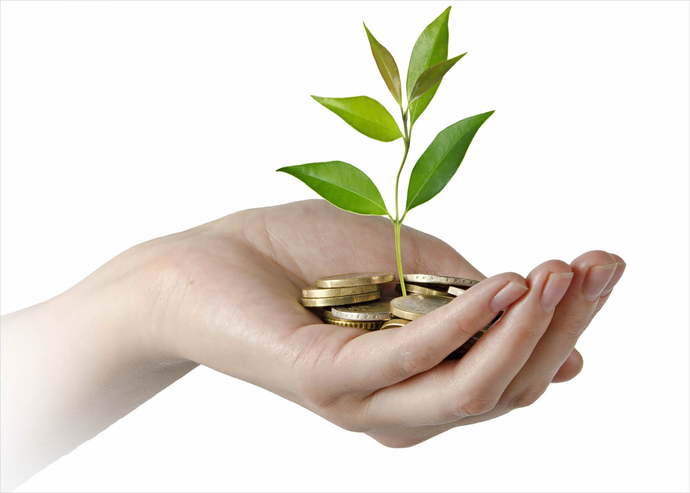 naem-2018-article-investing-green-business-700x500