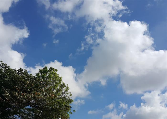 naem-2018-article-peak-tree-on-cloud-blue-sky-700x500