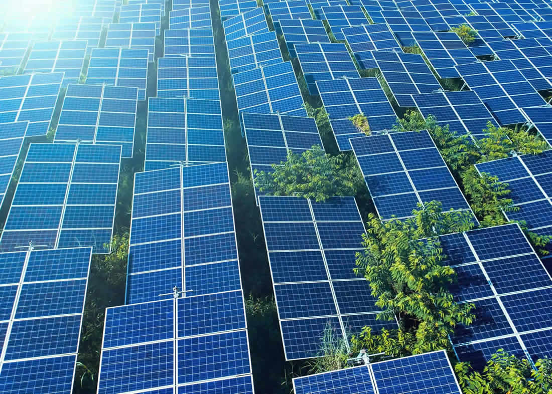 naem-2018-article-solar-panels-cell-farm-green-tree-700x500