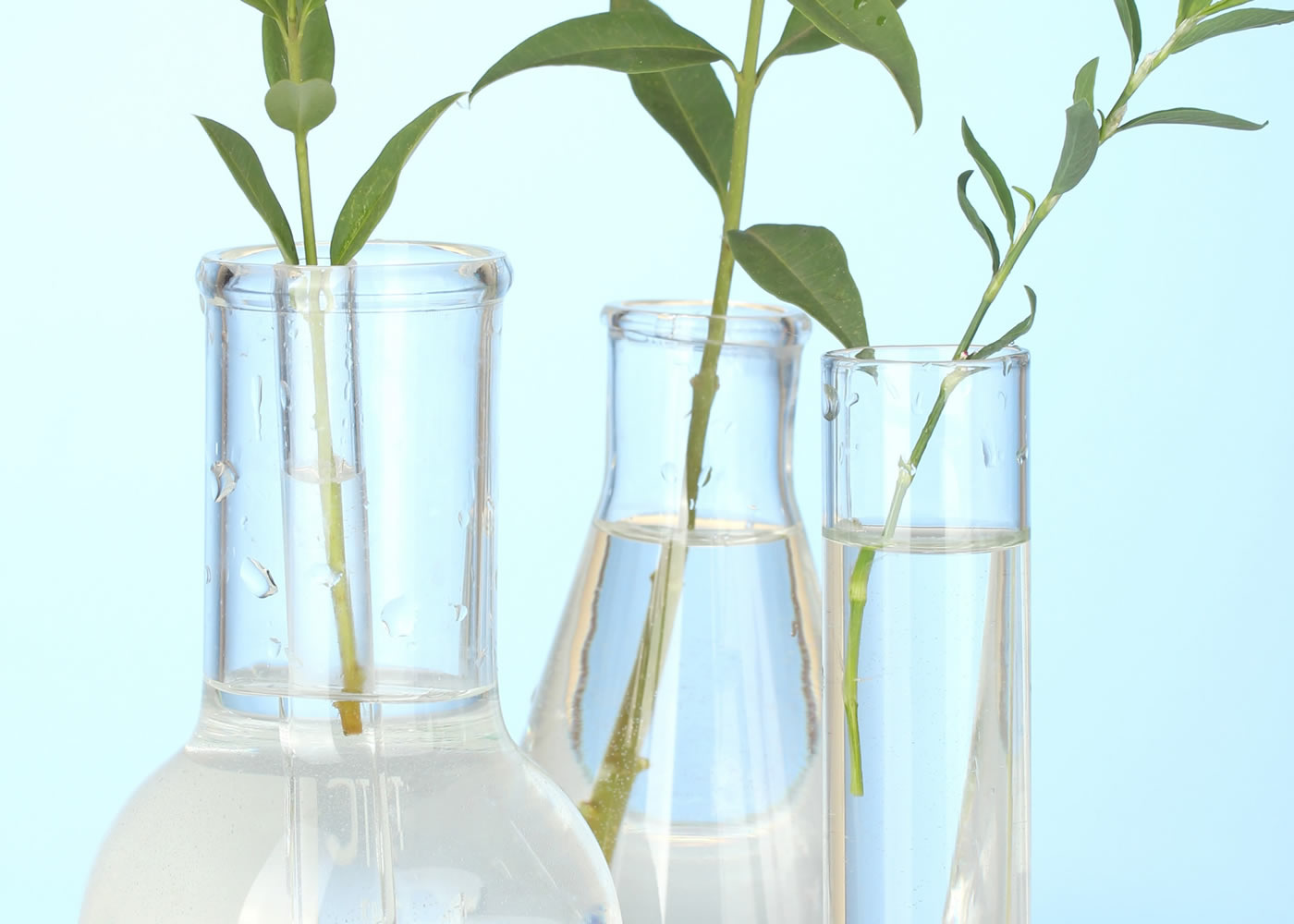 naem-2018-article-testtubes-transparent-solution-plant-on-blue-700x500