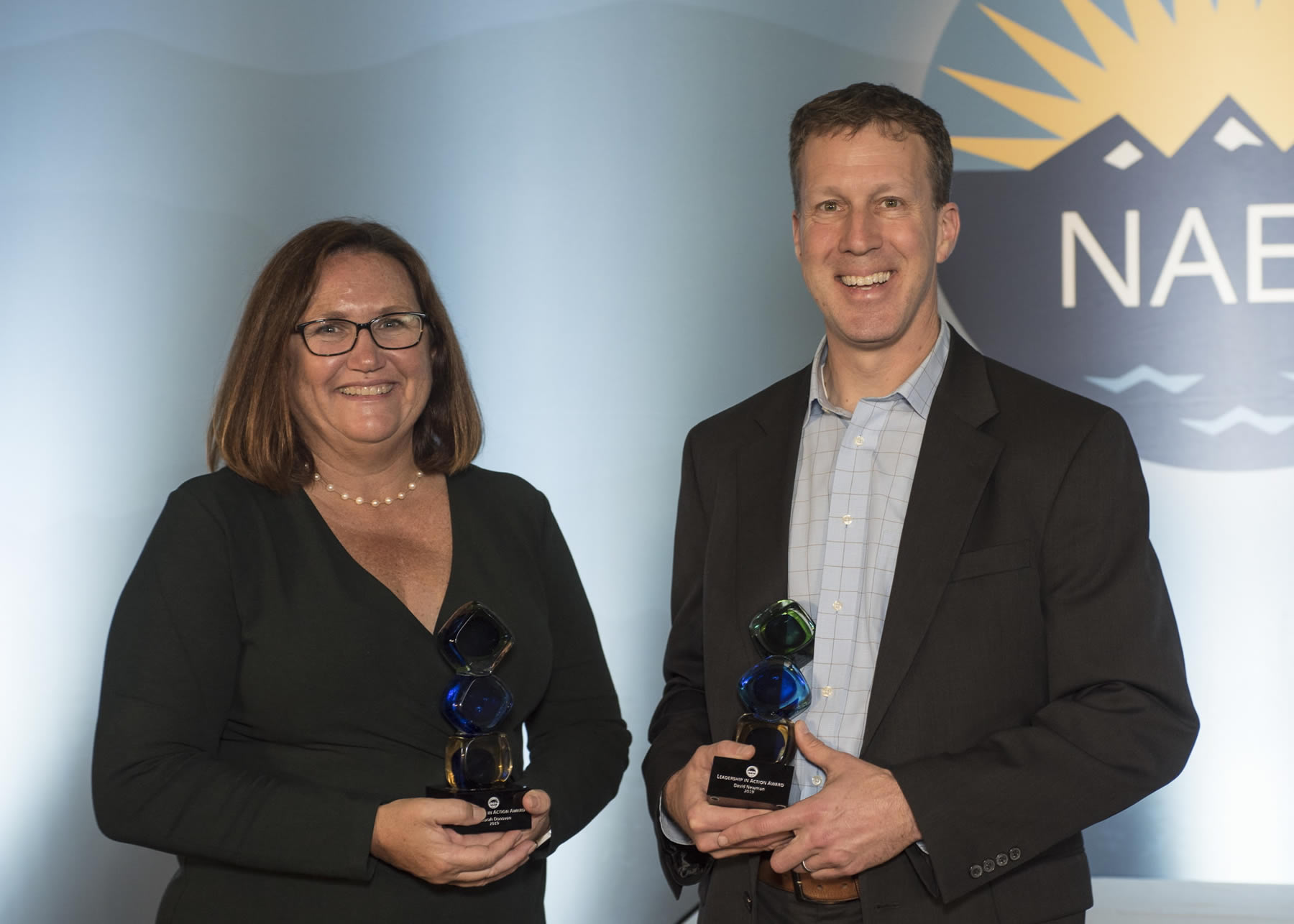 NAEM Leadership in Action Awards - David Newman