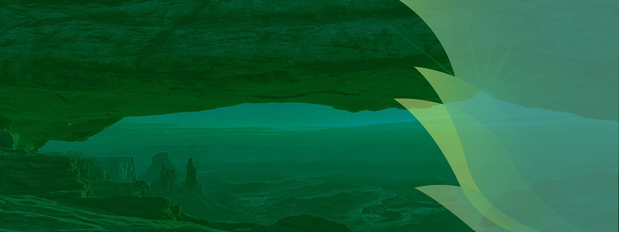 Sustainability Impact Conference - 2020