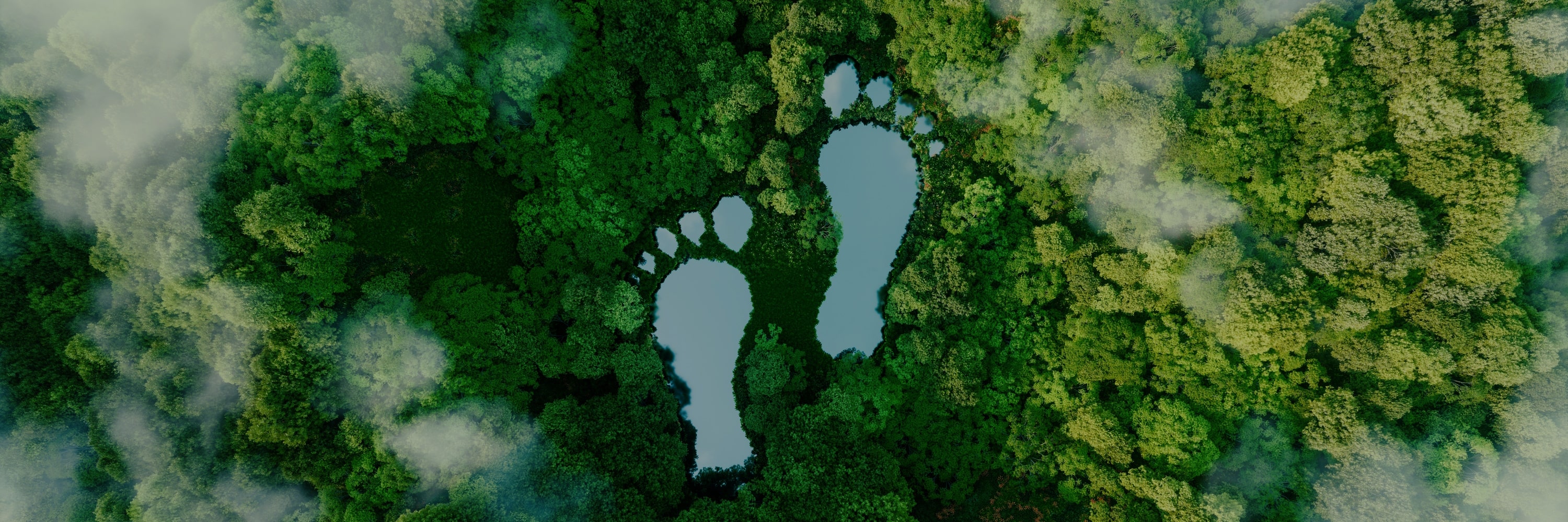 NAEM 2023 Earth Day Carbon Footprint Challenge