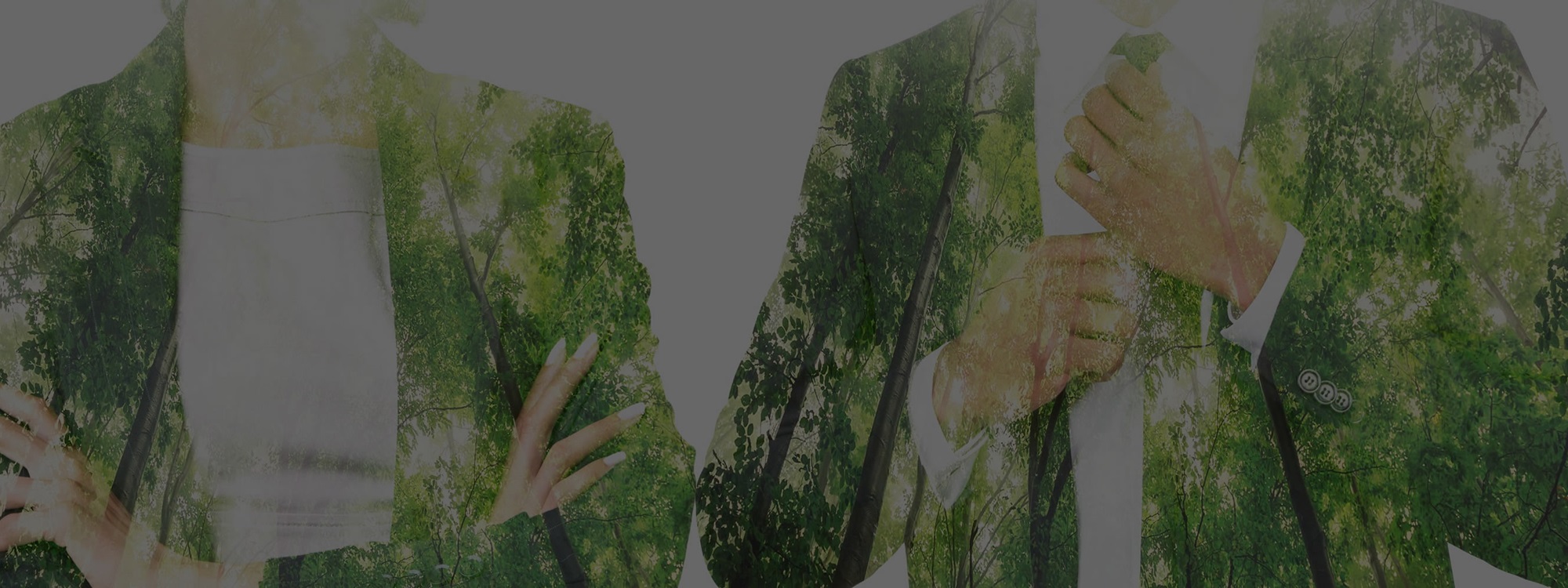 Rural landscape - valley and mountain