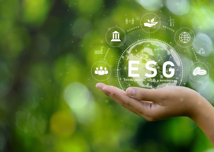 NAEM Blog: Corporate ESG and Sustainability Reporting Go Hand in Hand