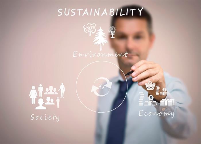 naem-2018-blog-business-man-writing-sustainability-concept-700x500