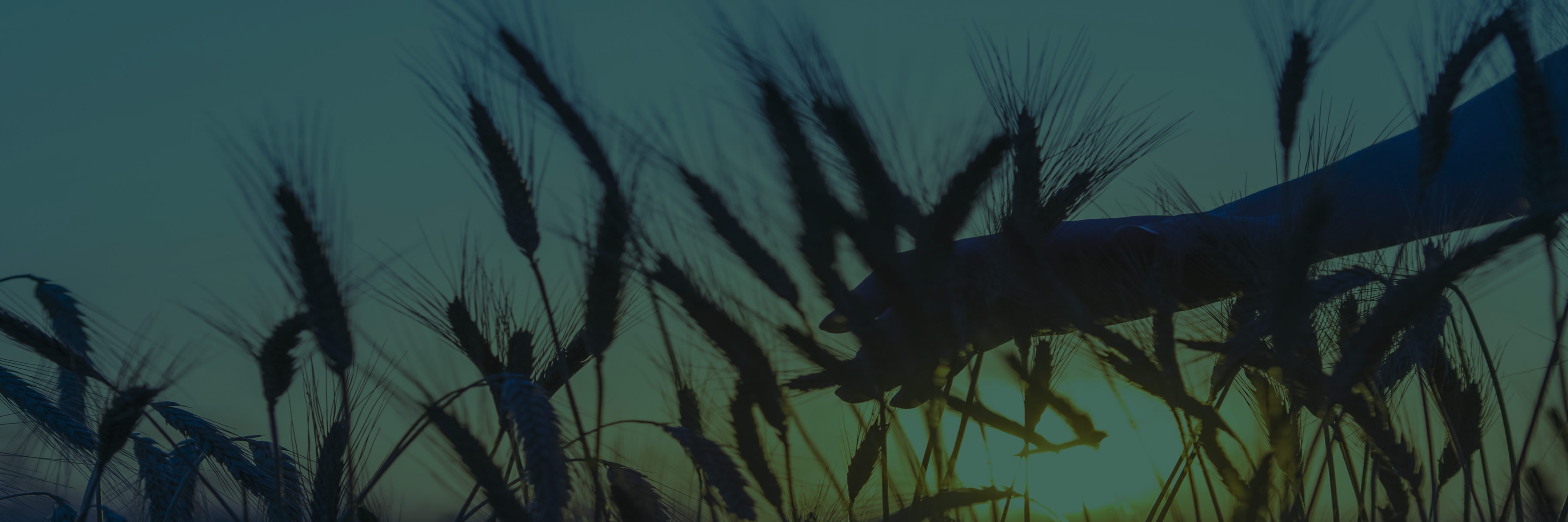 ehs-forum-2020-conference-presentations-header-banner-virtual-final-1800x600-min