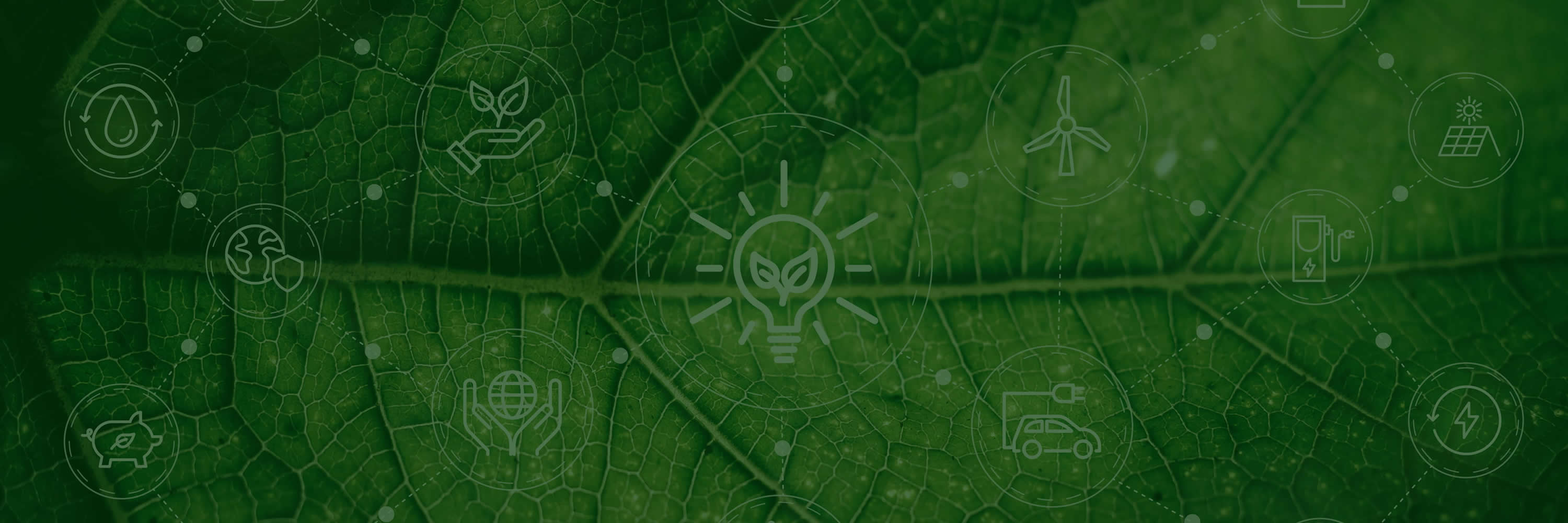 NAEM IMPACT Virtual Series