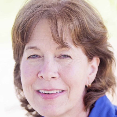 naem-webinar-2009-sarah-gibson-250x250