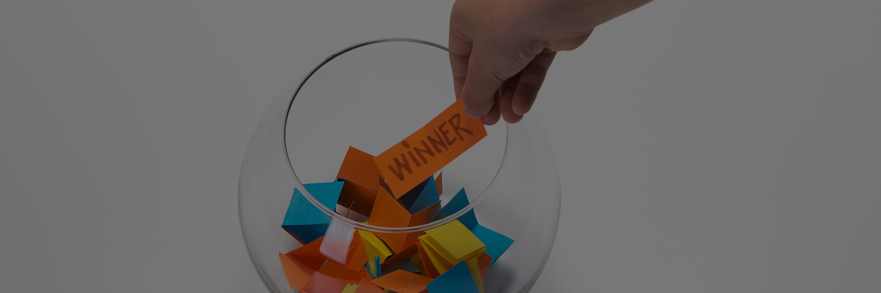 NAEM Member Appreciation Week - Raffle Day