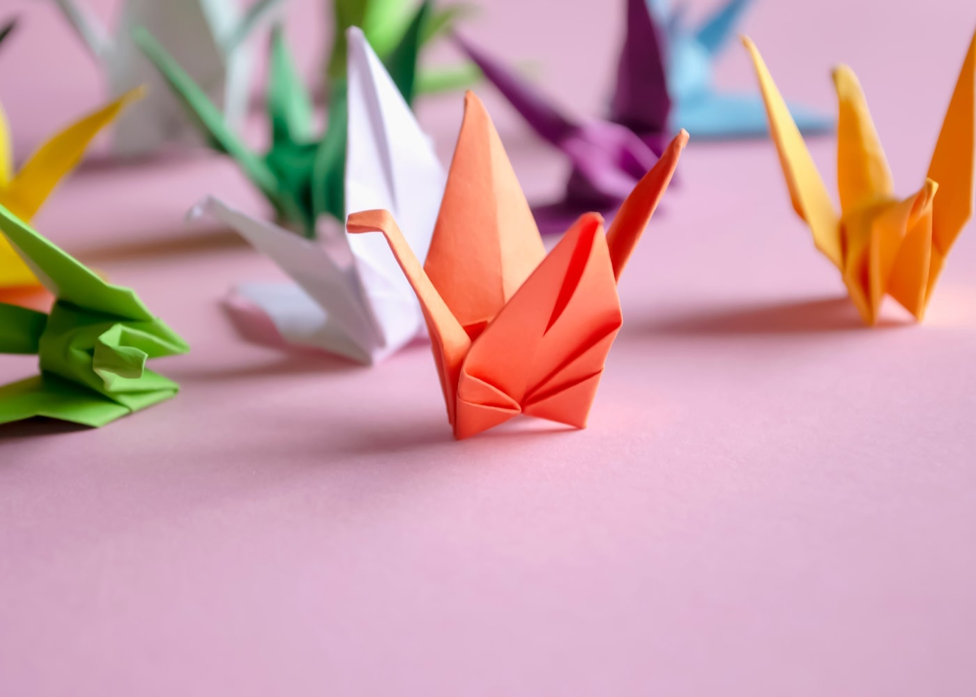 NAEM 2024 Virtual Pass