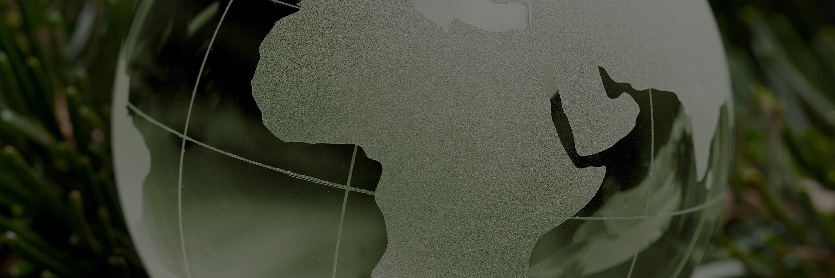 naem-webinar-2008-impact-of-sustainability-on-corporate-strategies-1800x600-min