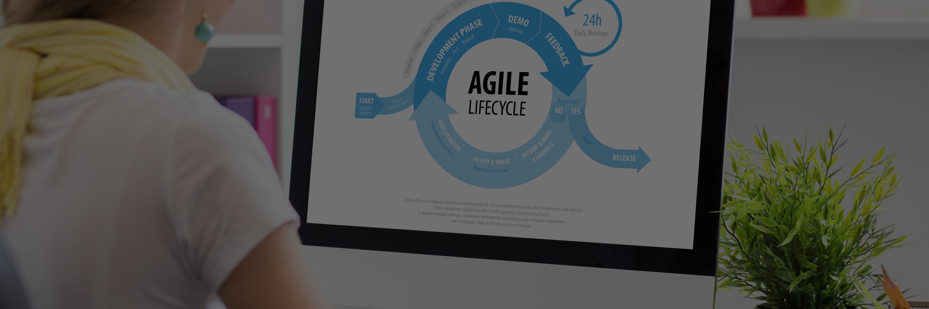 naem-webinar-2019-how-agile-leads-to-win-win-software-implementation-1800x600