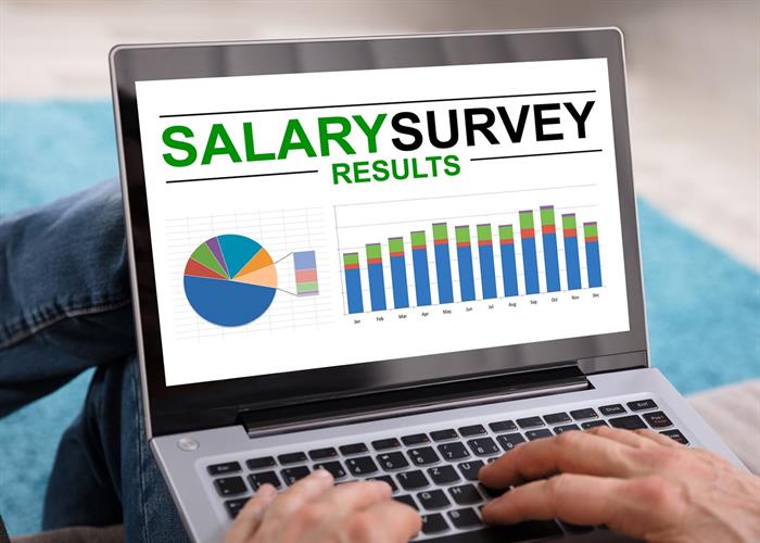 2019 EHSS Salary Survey Results