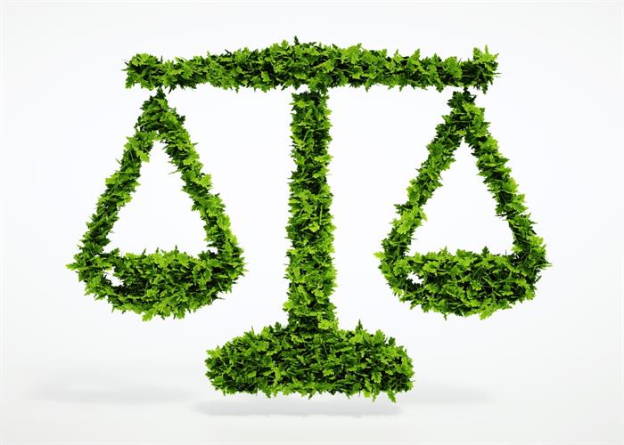 naem-2021-webinar-banner-carbon-offsets-should-we-or-shouldnt-we-heritage-environmental-services-700x500