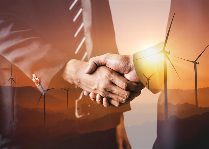 Effectively Incorporating Sustainability Into Your Business